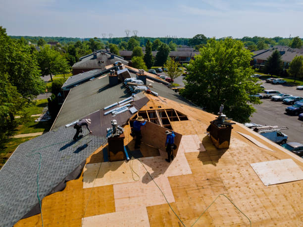 Quick and Trustworthy Emergency Roof Repair Services in Olla, LA